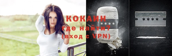 гашик Алексеевка