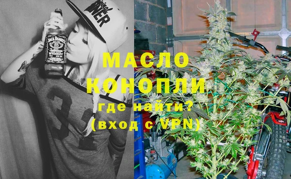 гашик Алексеевка