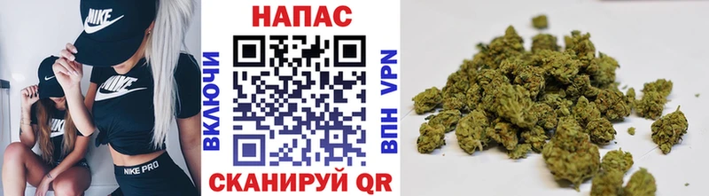 Конопля MAZAR Александровское
